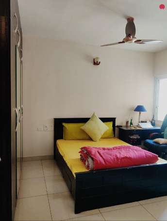 2 BHK Apartment For Rent in Bhartiya Nikoo Homes Phase 2 Thanisandra Main Road Bangalore 6611284