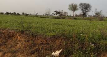 Commercial Land 12 Acre For Resale In Mohmmadpur Jharsa Gurgaon 6612211