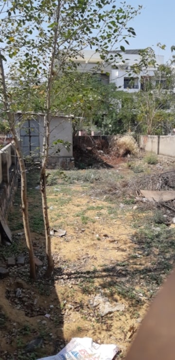 Plot For Resale in Sachivalaya Nagar Jaipur  6612359