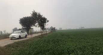 Commercial Land 11 Acre For Resale In Jhajjar Road Gurgaon 6612467