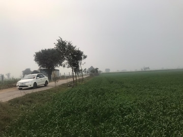 Commercial Land 11 Acre For Resale in Jhajjar Road Gurgaon  6612467