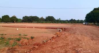  Plot For Resale in Nunna Vijayawada 6612566