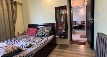 1 BHK Apartment For Resale in SKD Pinnacolo Mira Road Mumbai 6612516