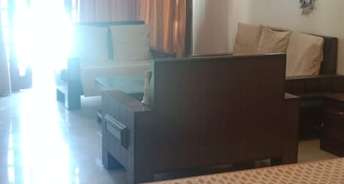 Studio Apartment For Rent in Safdarjung Enclave Safdarjang Enclave Delhi 6612885