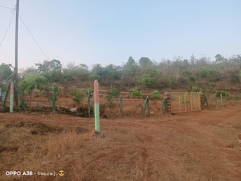 Plot For Resale in Mangaon Raigad  6613132