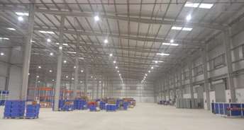 Commercial Warehouse 30000 Sq.Yd. For Rent In Sikandra Agra 6613210
