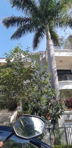 6+ BHK Independent House For Resale in Malviya Nagar Jaipur  6613346