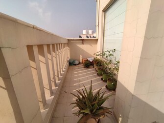 4 BHK Penthouse For Resale in Sushma Crescent Dhakoli Village Zirakpur  6613579