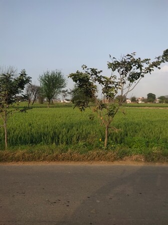 Plot For Resale in Gurgaon Village Gurgaon  6614243