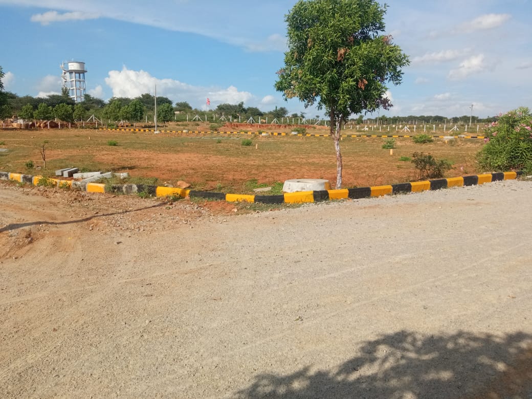 Plot For Resale in Shadnagar Hyderabad  6614293