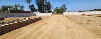 Plot For Resale in Deva Road Lucknow  6614315