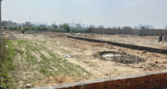  Plot For Resale in Noida Ext Sector 16c Greater Noida 6614354