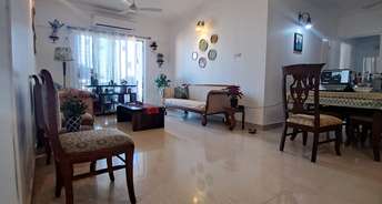 3 BHK Apartment For Rent in Bramha Avenue Kondhwa Pune 6614828