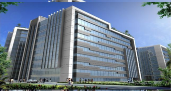 Commercial Office Space 5000 Sq.Ft. For Rent In Sector 58 Gurgaon 6614955