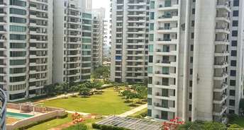 3.5 BHK Apartment For Rent in Parsvnath Exotica Sector 53 Gurgaon 6616214