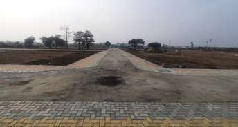  Plot For Resale in Panjari Nagpur 6616425