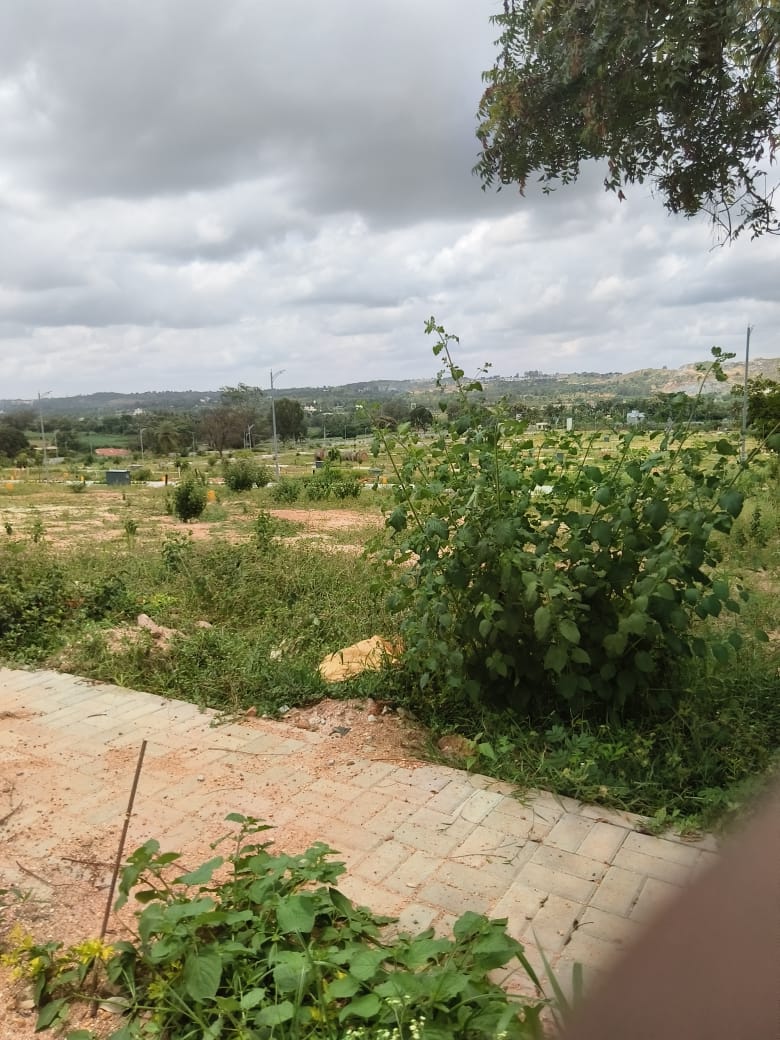 Resale 1210 Sq.Ft. Plot in Mysore Road Bangalore 6898390