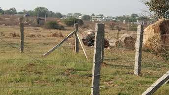  Plot For Resale in Silani Chowk Gurgaon 6617130
