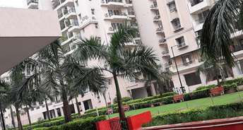 3 BHK Apartment For Rent in Eros Wembley Estat Sector 50 Gurgaon 6617911