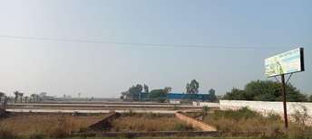  Plot For Resale in Tappal  Greater Noida 6618009
