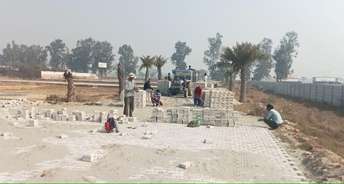  Plot For Resale in Tappal  Greater Noida 6618064