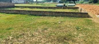  Plot For Resale in Sushant Golf City Lucknow 6618410