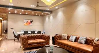 1 BHK Builder Floor For Rent in Ansal Plaza Sector 23 Sector 23 Gurgaon 6618413