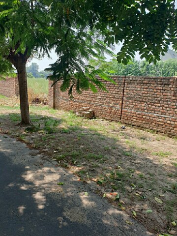 Plot For Resale in Sarabha Nagar Ludhiana  6618825