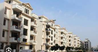 3 BHK Builder Floor For Rent in Sector 87 Faridabad 6619058