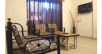 2 BHK Apartment For Rent in Lalwani Avenue Viman Nagar Pune 6619117