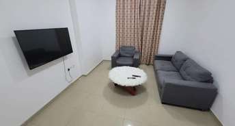 1 BHK Apartment For Rent in HBH Galaxy Apartments Sector 43 Gurgaon 6619606