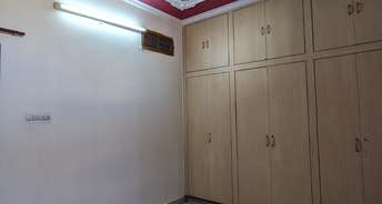 3 BHK Apartment For Rent in Durgapura Jaipur 6619640