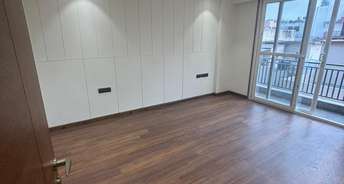 4 BHK Builder Floor For Rent in Andheria Mor Village Delhi 6619380