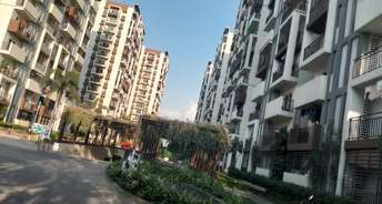 3 BHK Apartment For Rent in Aparna Cyber Life Nallagandla Hyderabad 6619896
