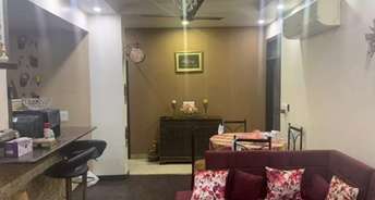 2 BHK Apartment For Resale in Lok Vihar Apartments Vikas Puri Delhi 6620018