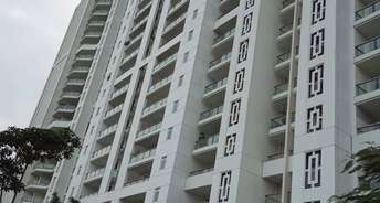 4 BHK Apartment For Rent in DLF The Crest Sector 54 Gurgaon 6620118