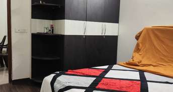 1 BHK Apartment For Rent in Amrapali Pan Oasis Sector 70 Noida 6620384