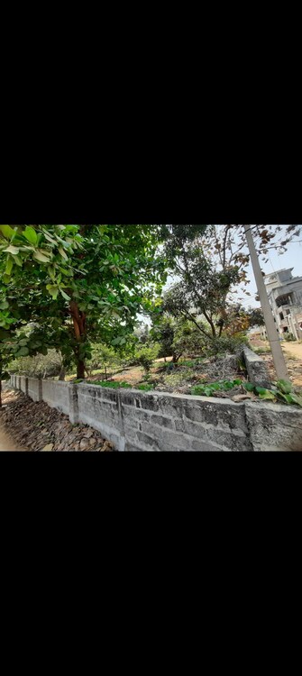 Plot For Resale in Gandamguda Hyderabad  6620578