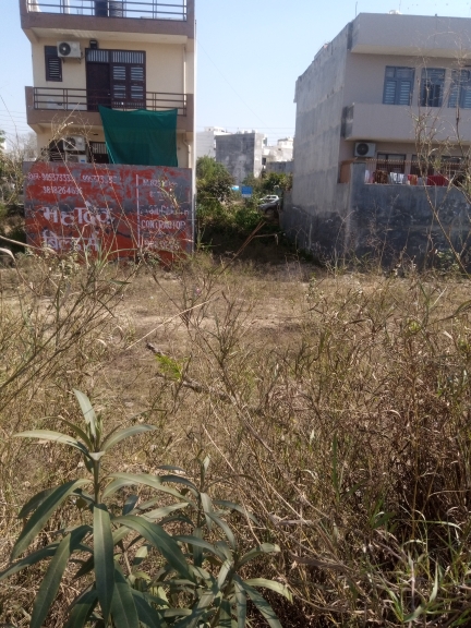 Plot For Resale in Sector 110a Gurgaon  6620810