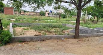  Plot For Resale in Sector 22a Greater Noida 6621166