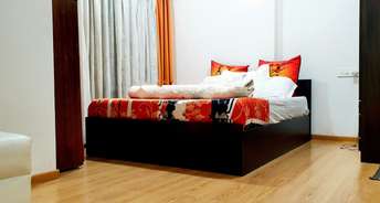 3 BHK Apartment For Rent in Nathani Bhawan Marine Lines Mumbai 6621362
