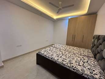1 BHK Builder Floor For Rent in Saket Delhi 6621754