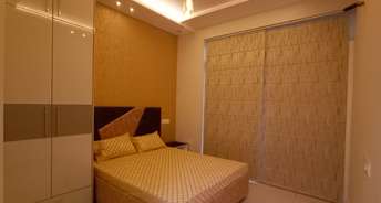 3 BHK Apartment For Rent in Chandigarh Airport Chandigarh 6622096