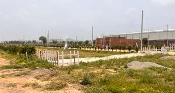  Plot For Resale in Sector 66 Gurgaon 6622072