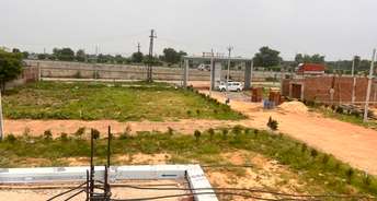  Plot For Resale in Sector 66 Gurgaon 6622162