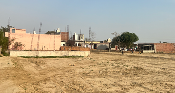  Plot For Resale in Sikri Faridabad 6622466