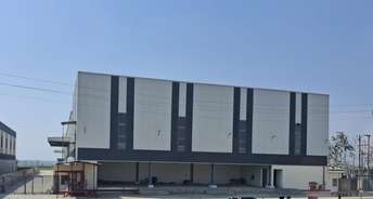 Commercial Warehouse 200000 Sq.Ft. For Rent In Dadri Main Road Greater Noida 6622519