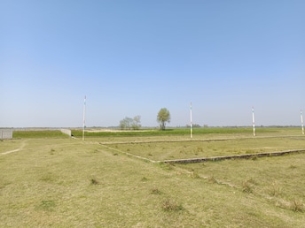 Plot For Resale in Jafrapur Ayodhya  6622600