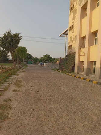 Plot For Resale in Abul Fazal Enclave Part 2 Delhi  6623347