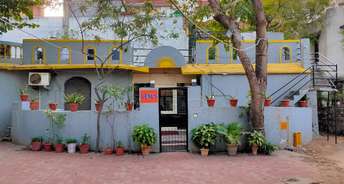 4 BHK Villa For Rent in Chattarpur Delhi 6623442